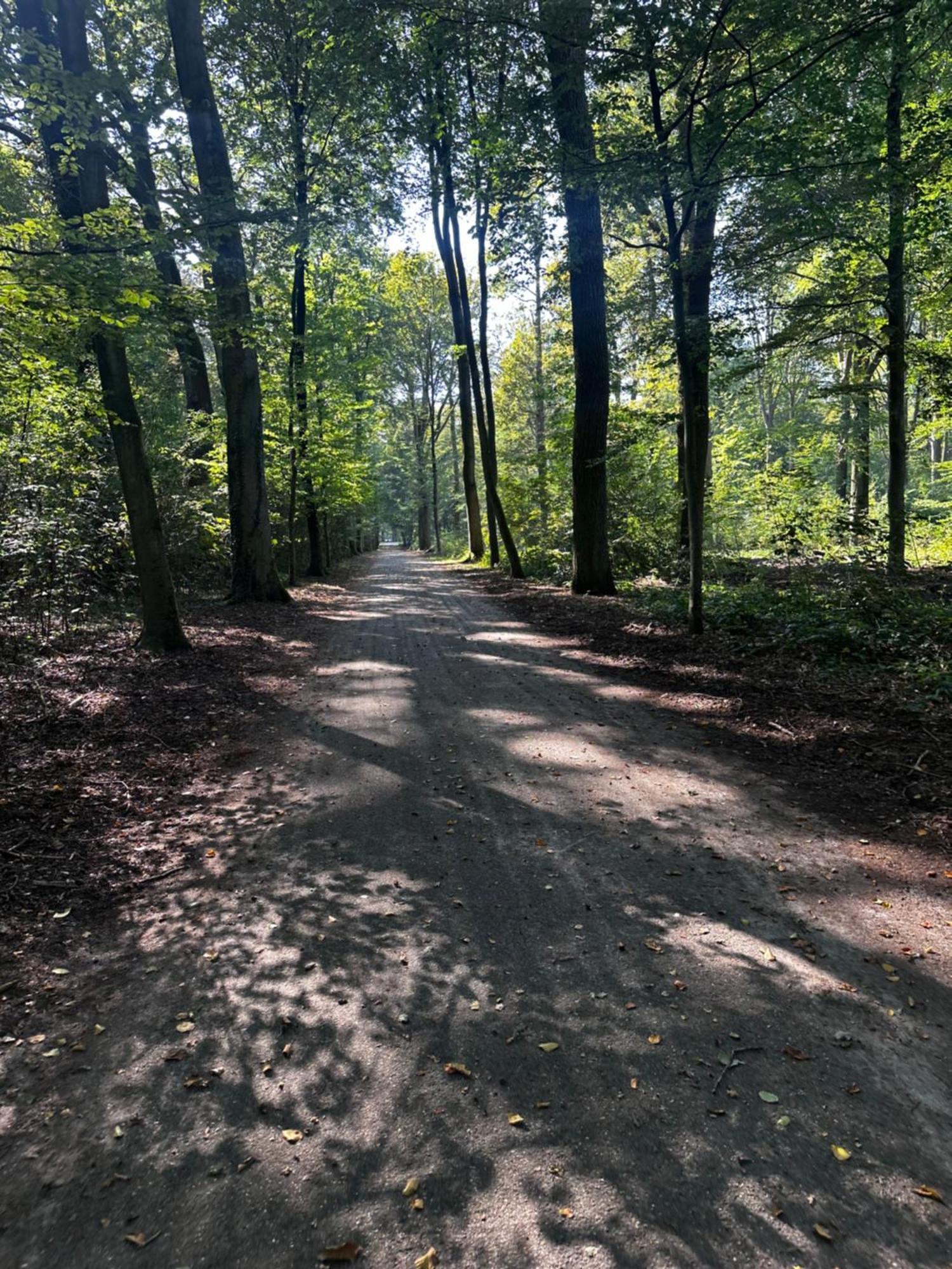 Chalet In Het Bos - Gezin - Wandelaars - Digital Nomads - Hs Wifi - Fijnspar 108 Aan de Wolfsberg Esterno foto